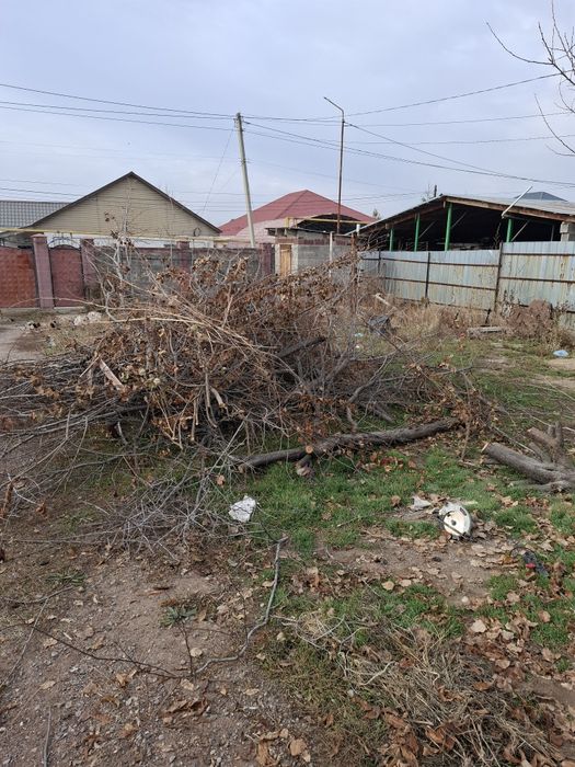 Дрова отдам даром