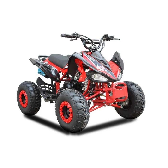 ATV Raptor 004 125 Roata pe 8" automat cadru mare