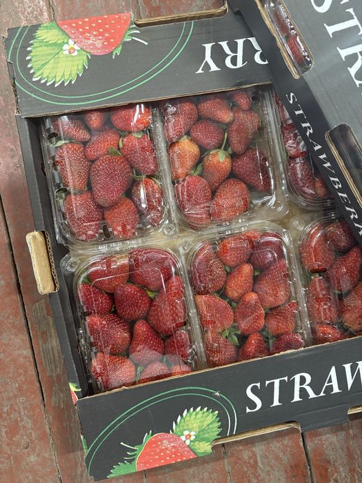 Клубника свежая ящик