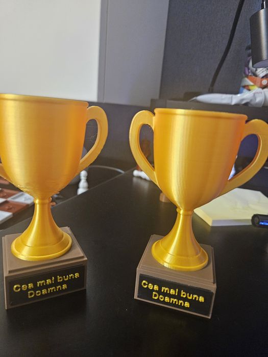 Cupe si medalii printate 3d