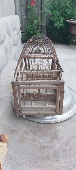 Клетка для птиц.