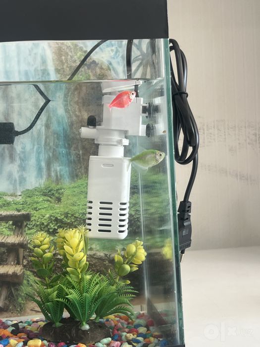 Akvarium hamma jihozlari bilan sotiladi