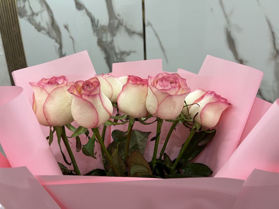 Цветы розы свежие 7 шт