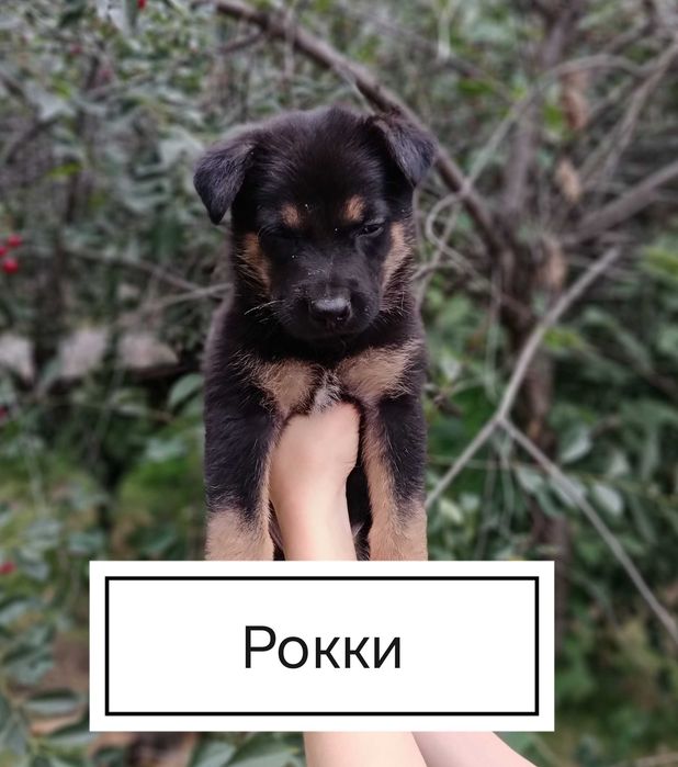 Бронирование и продажа