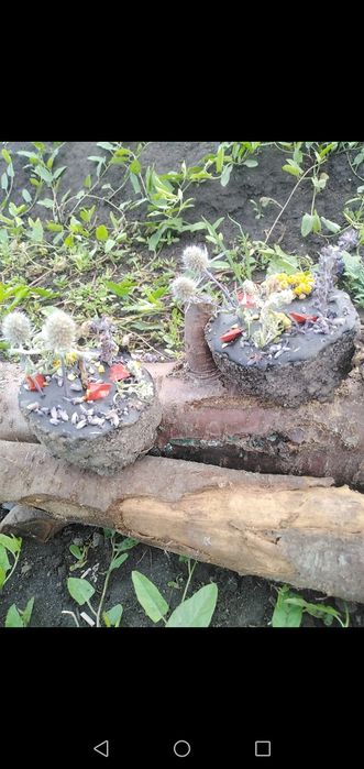 Свеча программная.