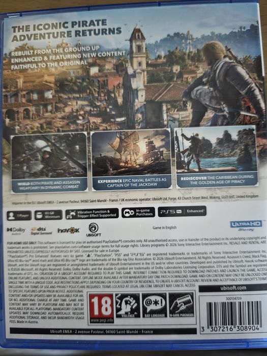Assassins Creed Black Flag Resynced