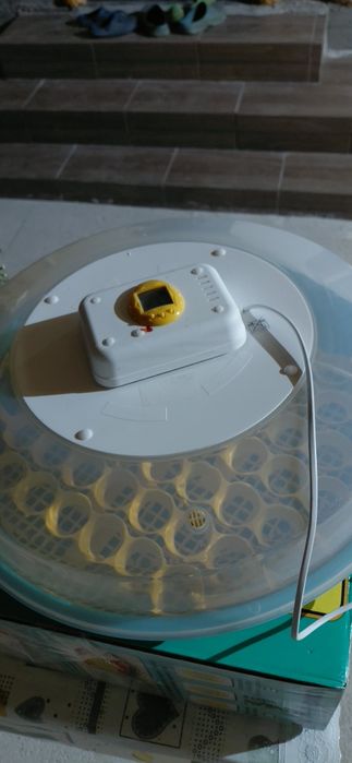 Incubator electric oua (clocitoare)