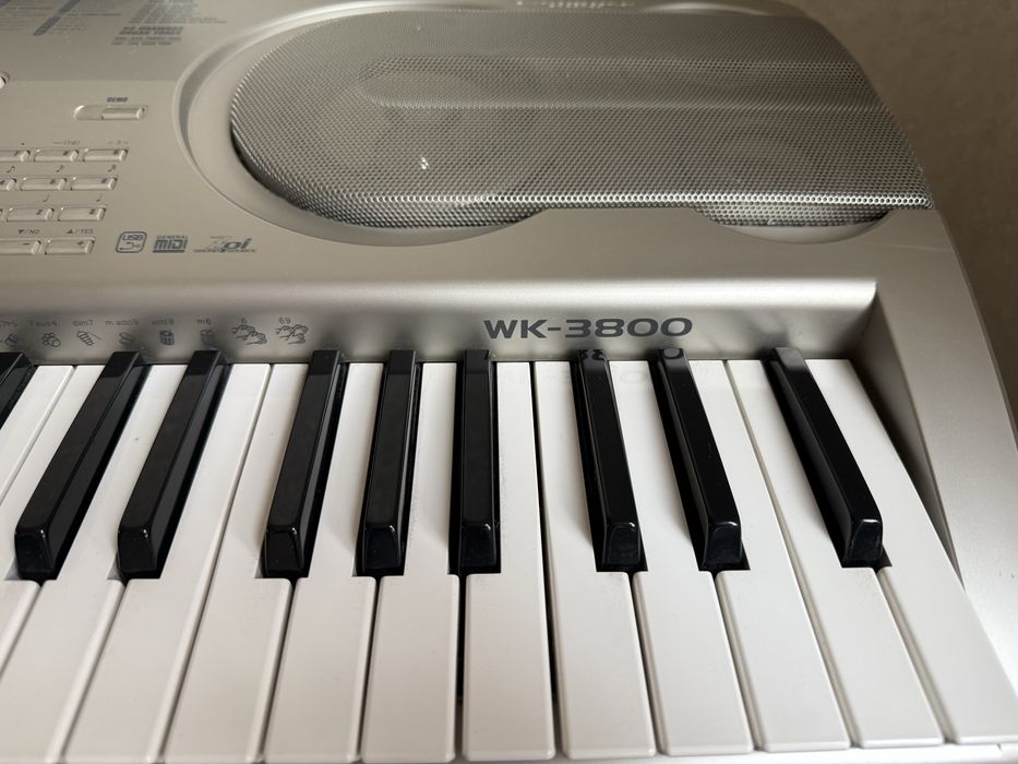 Синтезатор CASIO WK-3800
