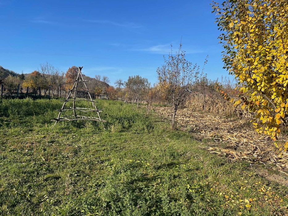 Teren de Vânzare | comuna Mușătești, sat Costești, județ Argeș.