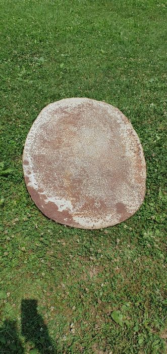 Grătar/Disc/Friptură