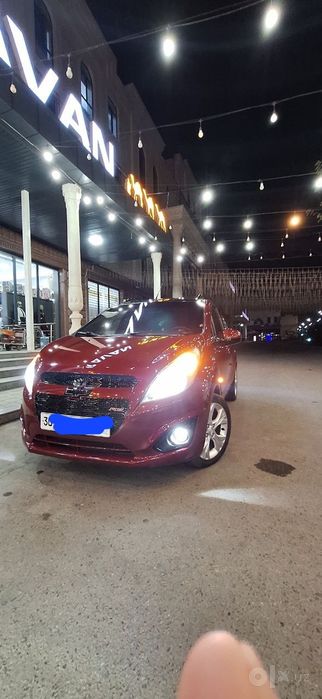 Spark bardoviy kraska bitagina petno bor