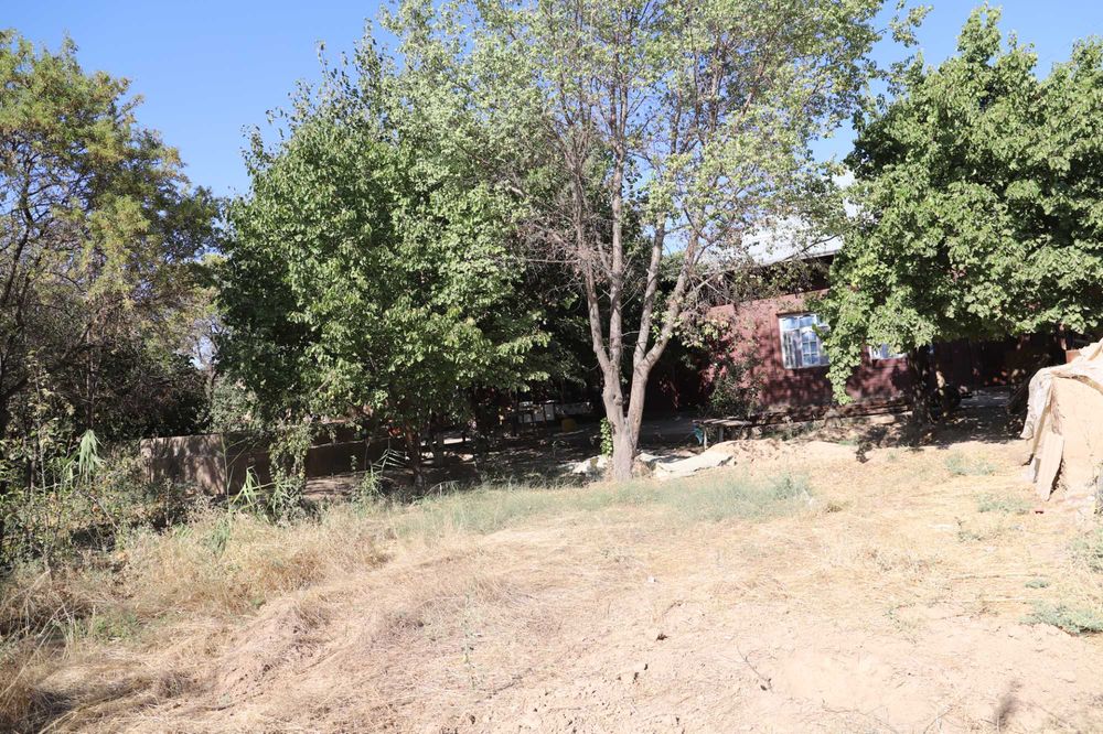 Hovli sotilari 24 sotix, bittasi 12 sotix, ikkita 6 sotixdan.