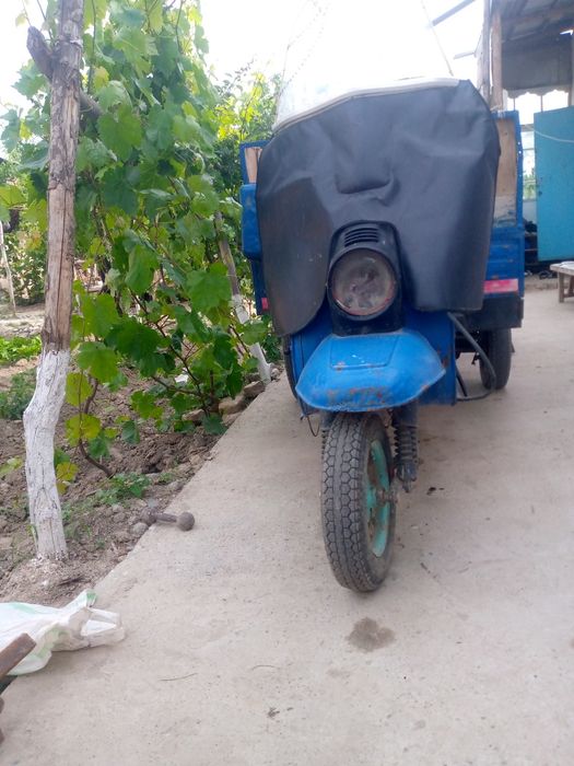 .Муравей холати жуда яхши турибди жойидан юради