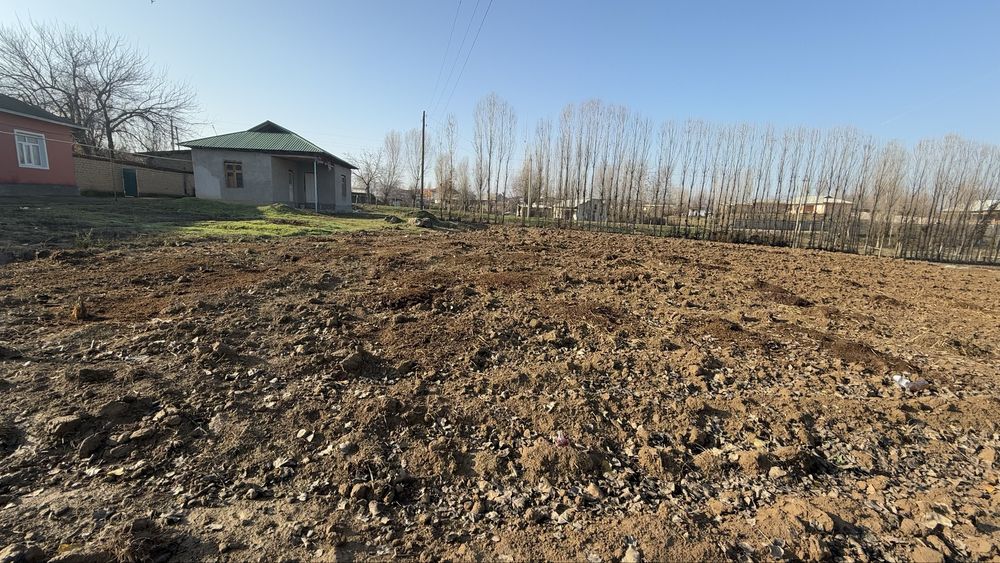 30 сотих Чиноз туман