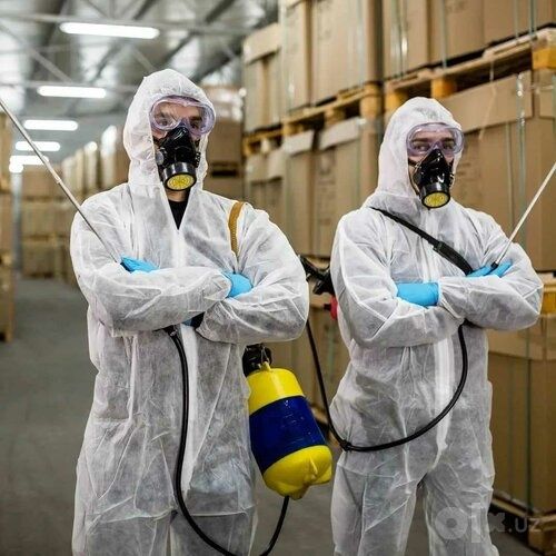 Клопы и тараканы мешают вам спокойно жить? Избавьтесь от них уже сегод