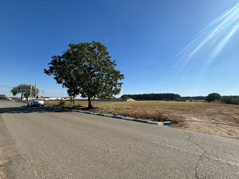 Teren intravilan  de vanzare – COMANCA, COMUNA DEVESELU – 2.800 MP