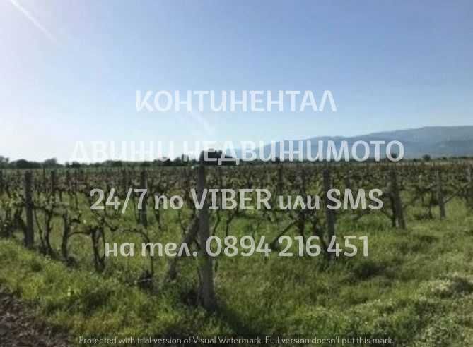 Продава се Парцел в Пловдив, Прослав - 5000 кв.м за 13 €/кв.м - Снимка #4