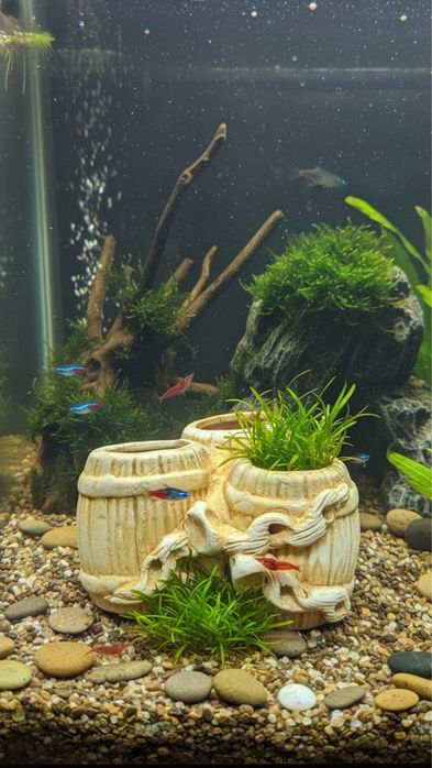 Новый Декор для аквариума