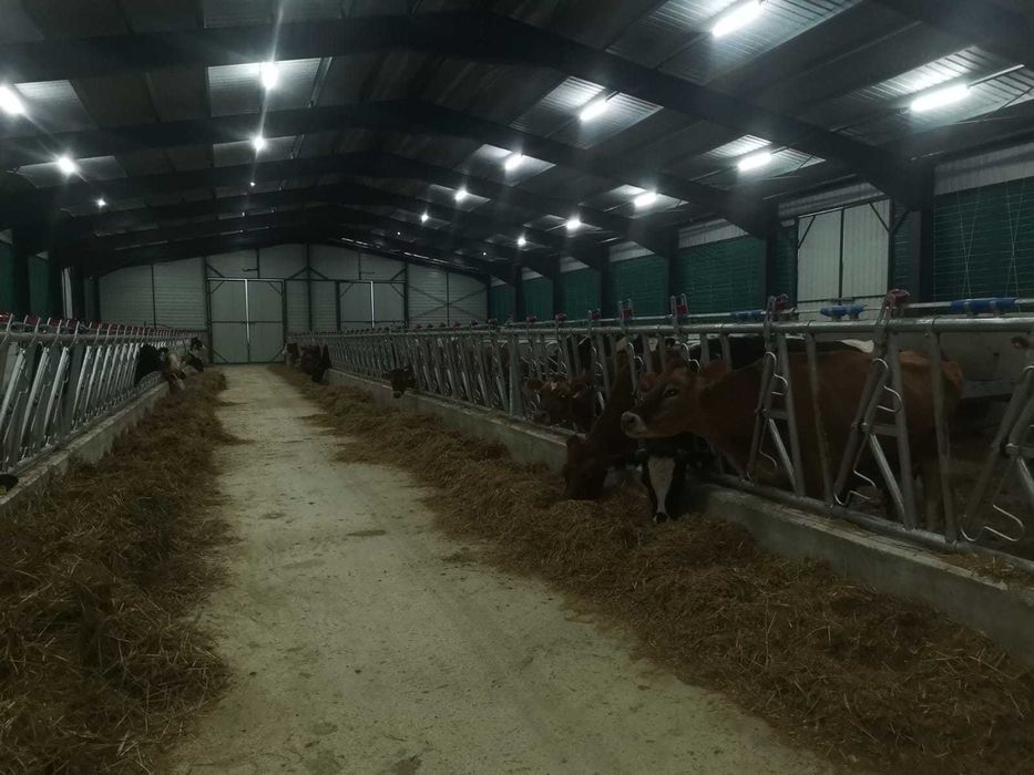 Caut asociat fermă zootehnică complet echipată