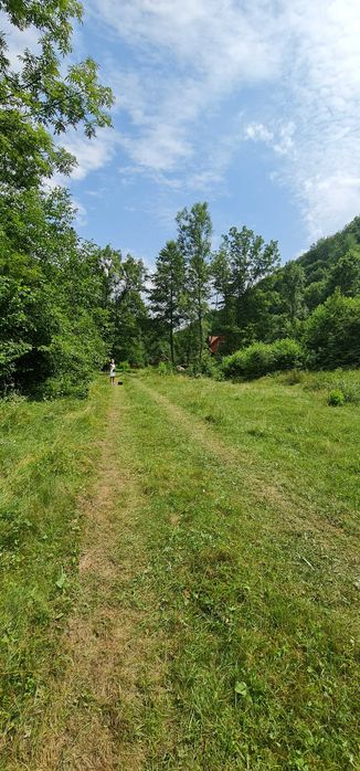 Teren pensiune/cabana  intravilan 4000 mp Bulz