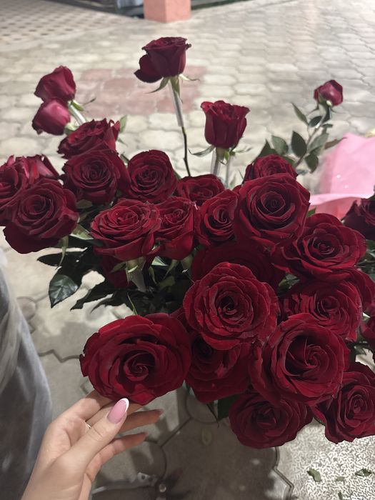 Цветы 49 штук без упаковки