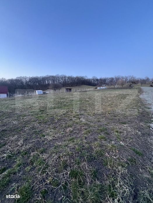 Parcele la padure in extensie intravilan , Drumul Tarpiului