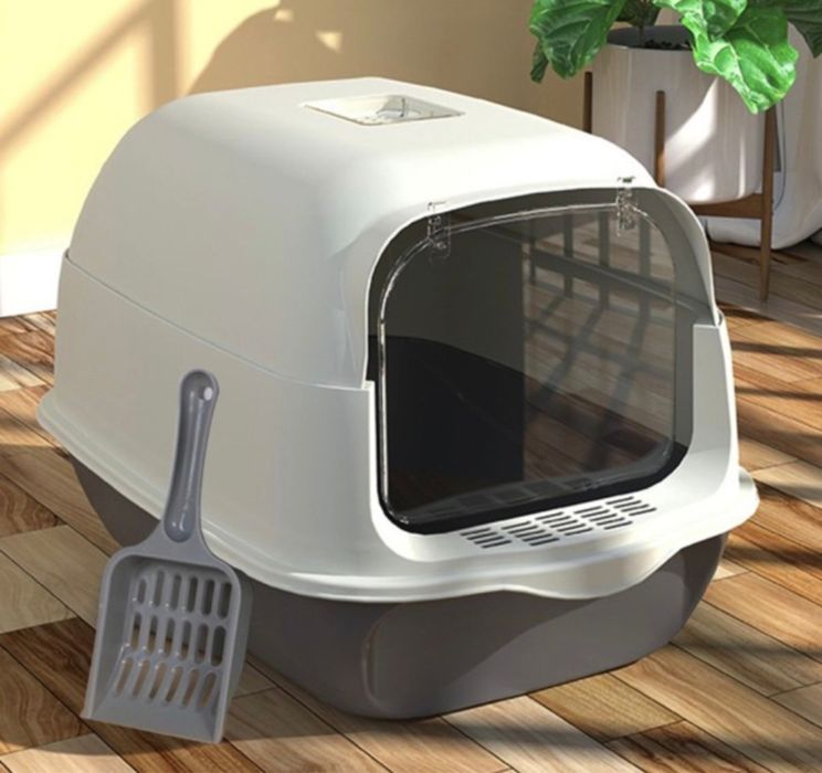 Продам котенка Скоттиш страйт