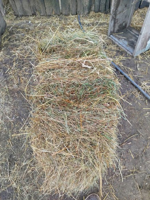 Baloti de fana , otava !!! 11 lei