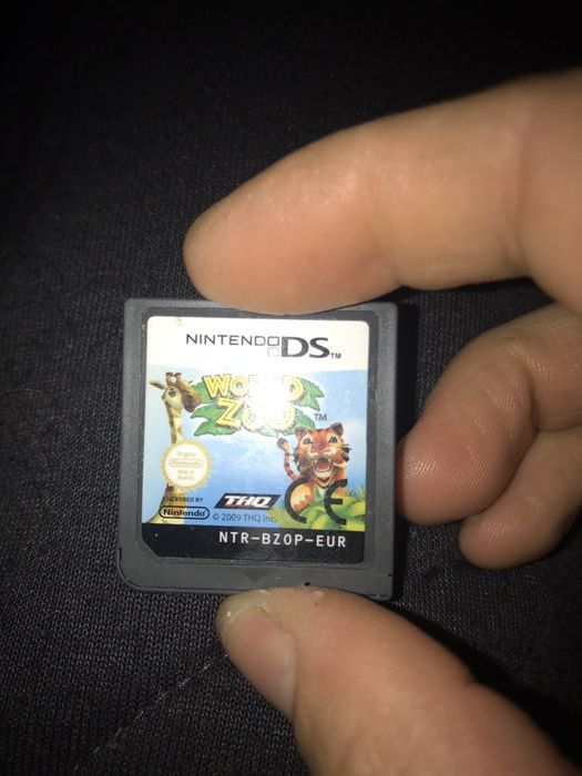 Nintendo DS