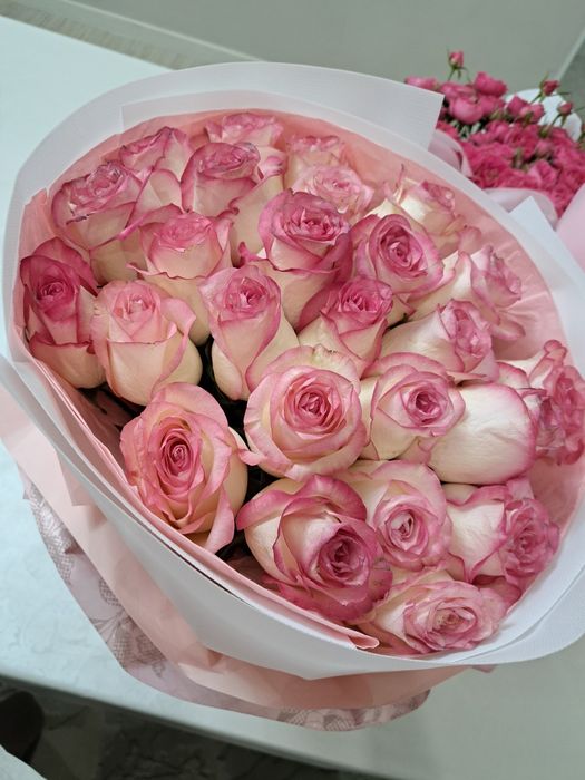 Букет роз 25 шт ..