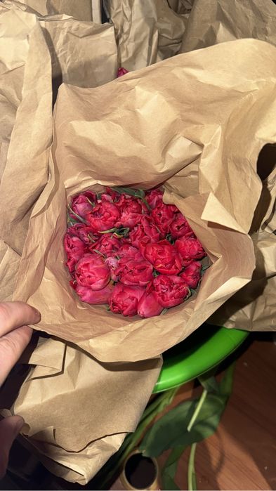 Распродажа тюльпанов 500 тенге