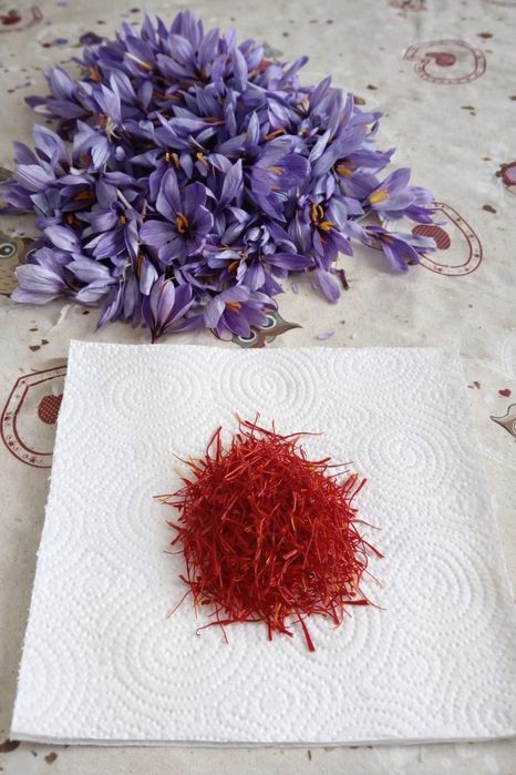 Șofran calitatea I
