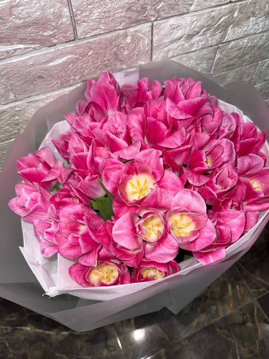 Цветы Тюльпаны свежие