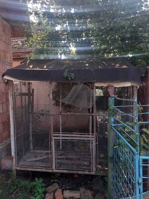 Coser de depozitare stiuleti de porumb