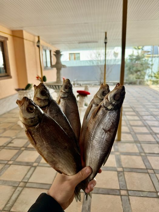 Вяленый рыбец крупный