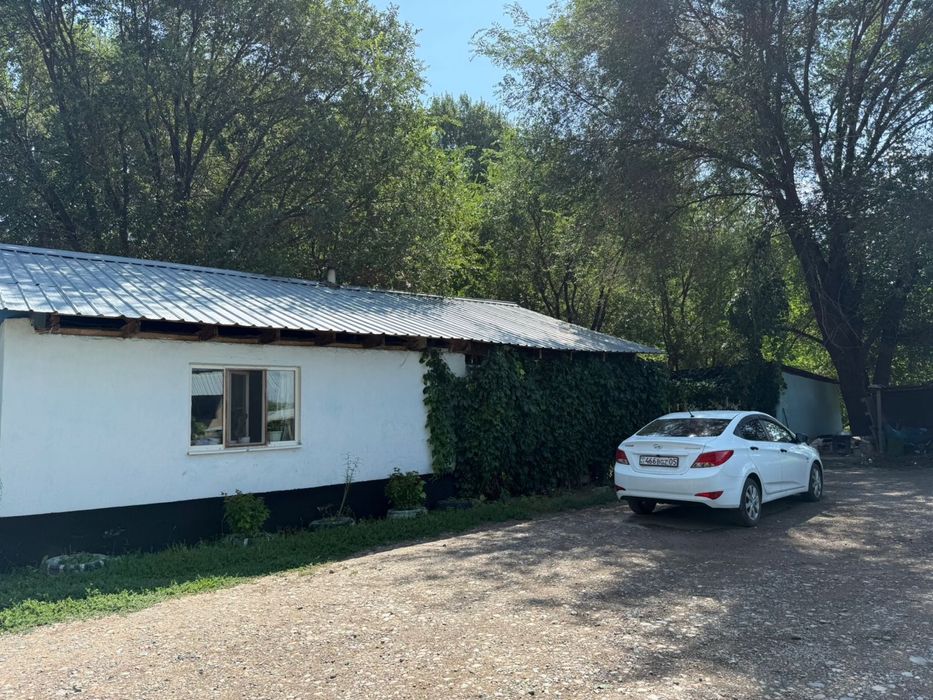 Продам яблоневый сад