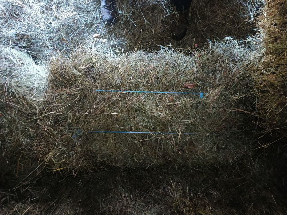 Vând baloți de iarba