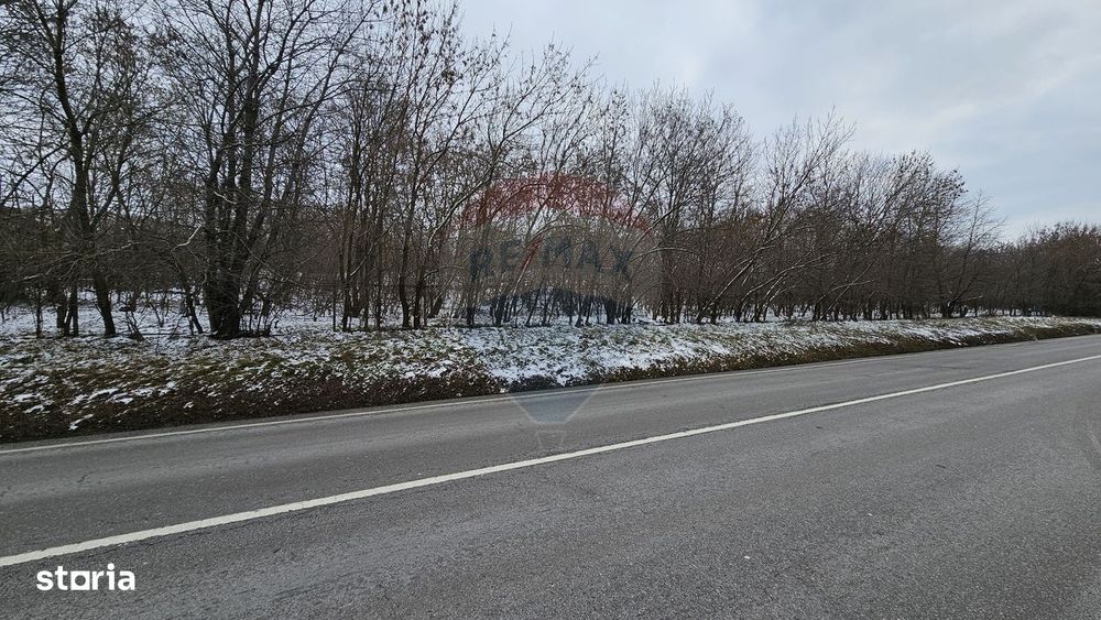 Teren 10,000mp Rădășeni / Șoseaua DN2-E85, județul Suceava