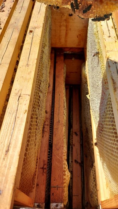 Пчелен мед букет