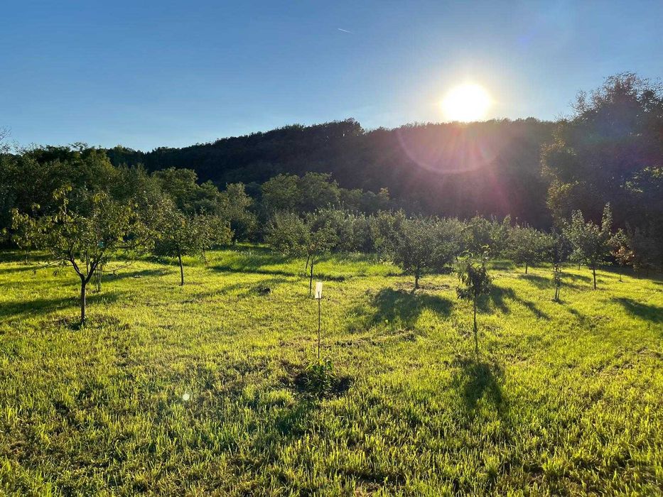 Teren pentru casa de vacanta / locuita permanenta