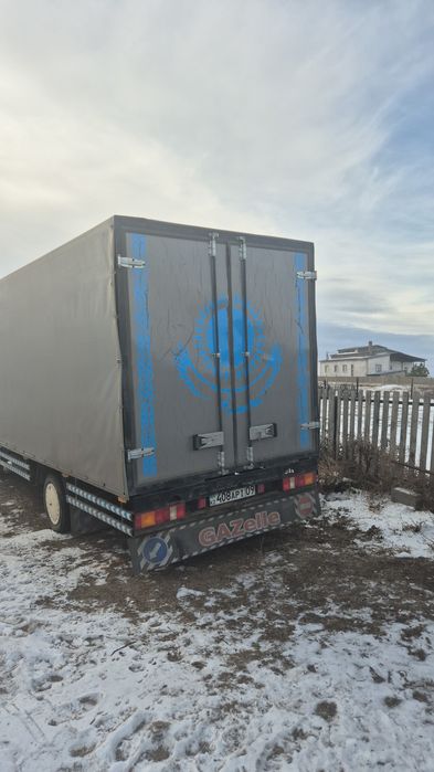 Газел жақсы жағдайда