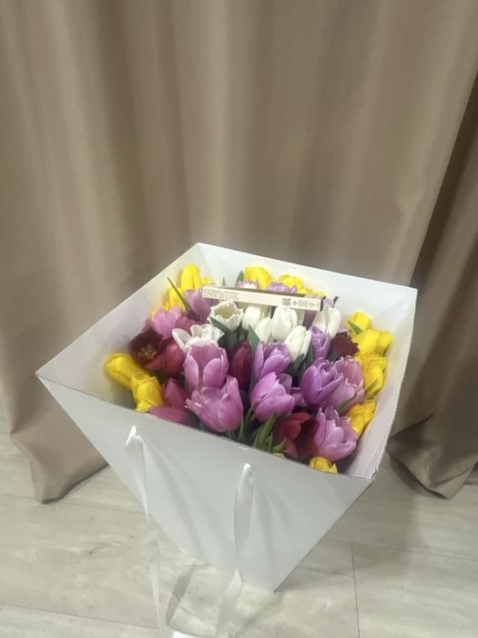 51 один голландский тюльпан