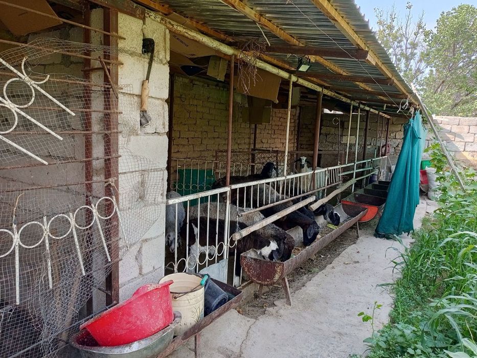 Срочно продаётся дача