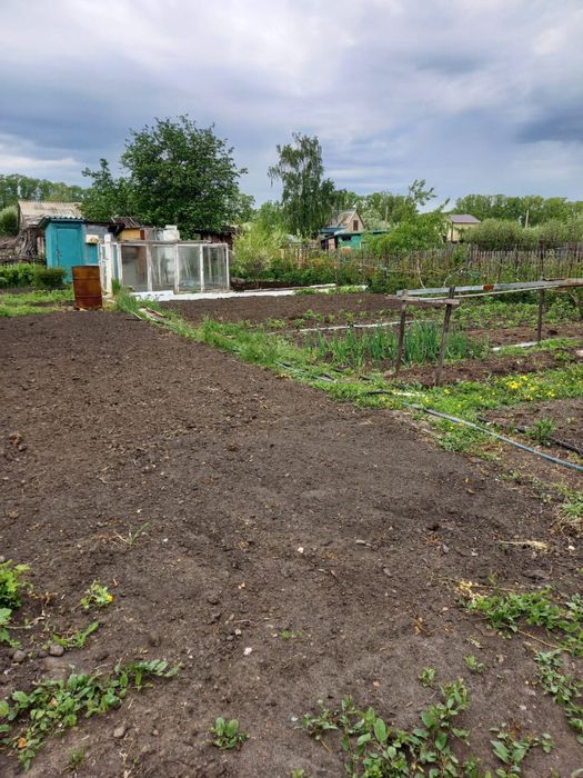 Продам дачу , СТ «Дружба»