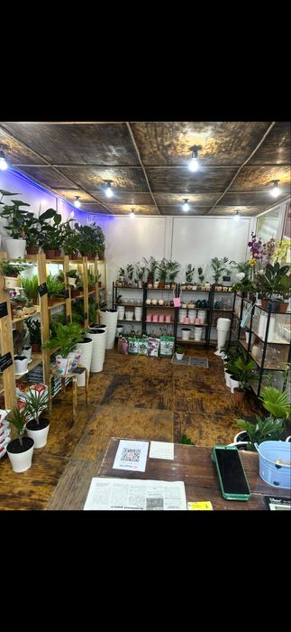 Продам действующий бизнес