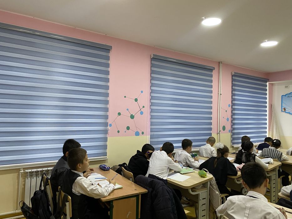 Jalyuzi va masketniy setka