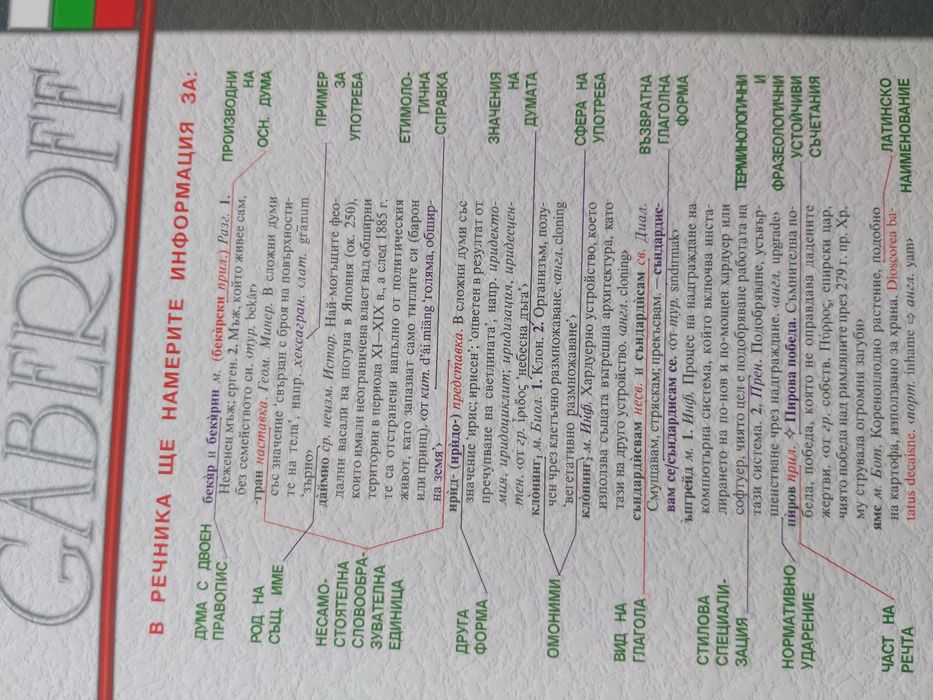 Речник на чуждите думи в българския език с приложения