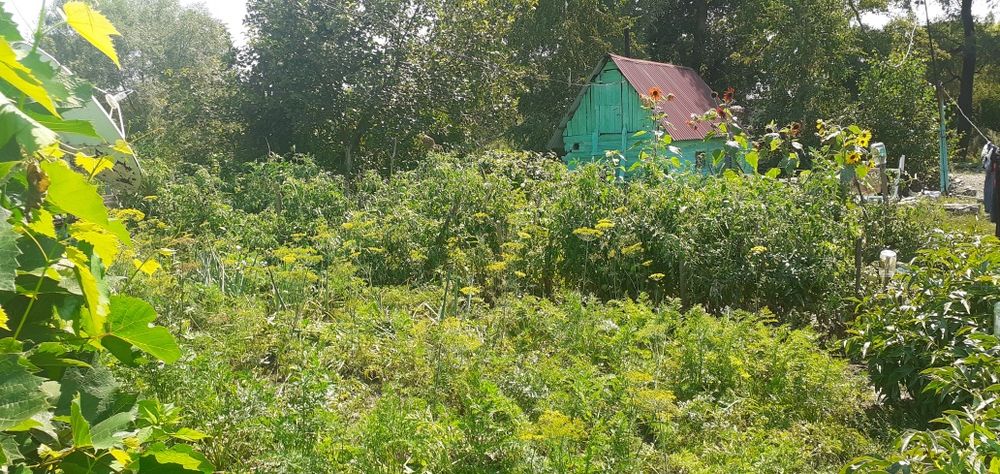 Продаётся теплый дом