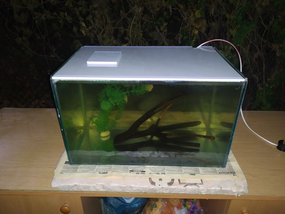 Аквариум 46л + бонусы и рыбки.