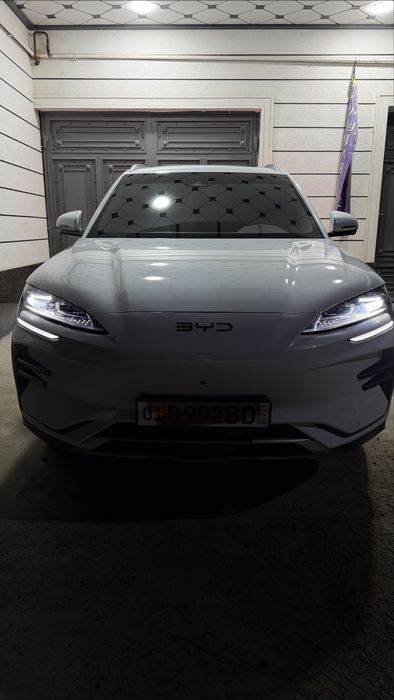 BYD chempion 2024 lidarligi